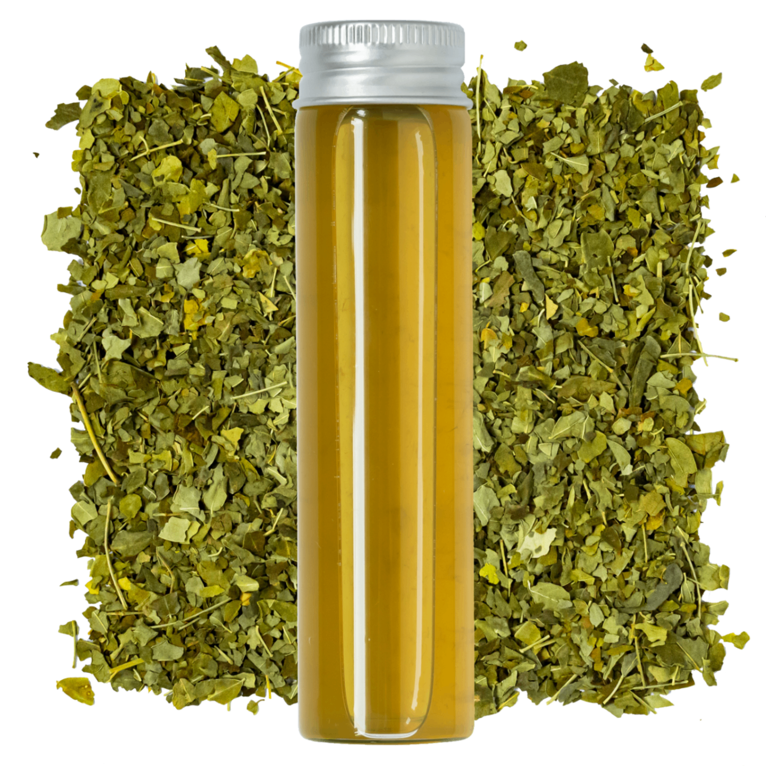 Fermented Moringa — product visual
