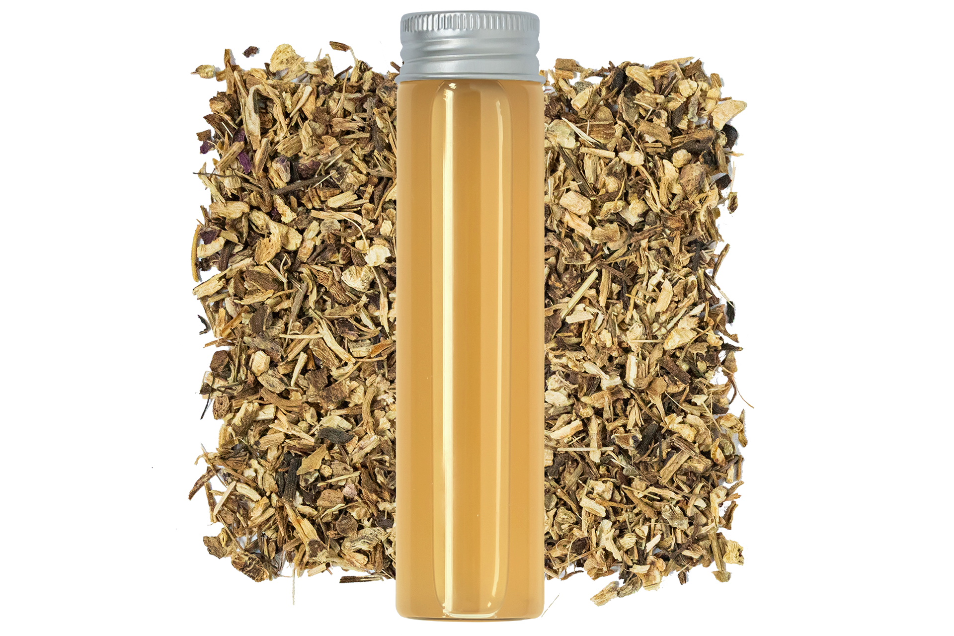 Fermented Echinacea — product visual