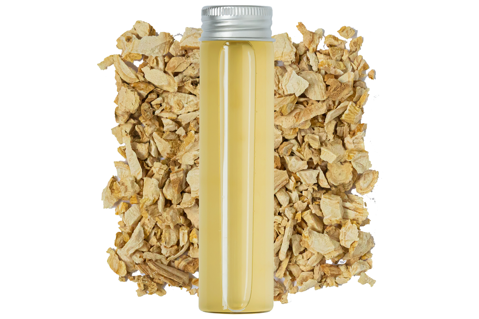 Fermented Ginseng