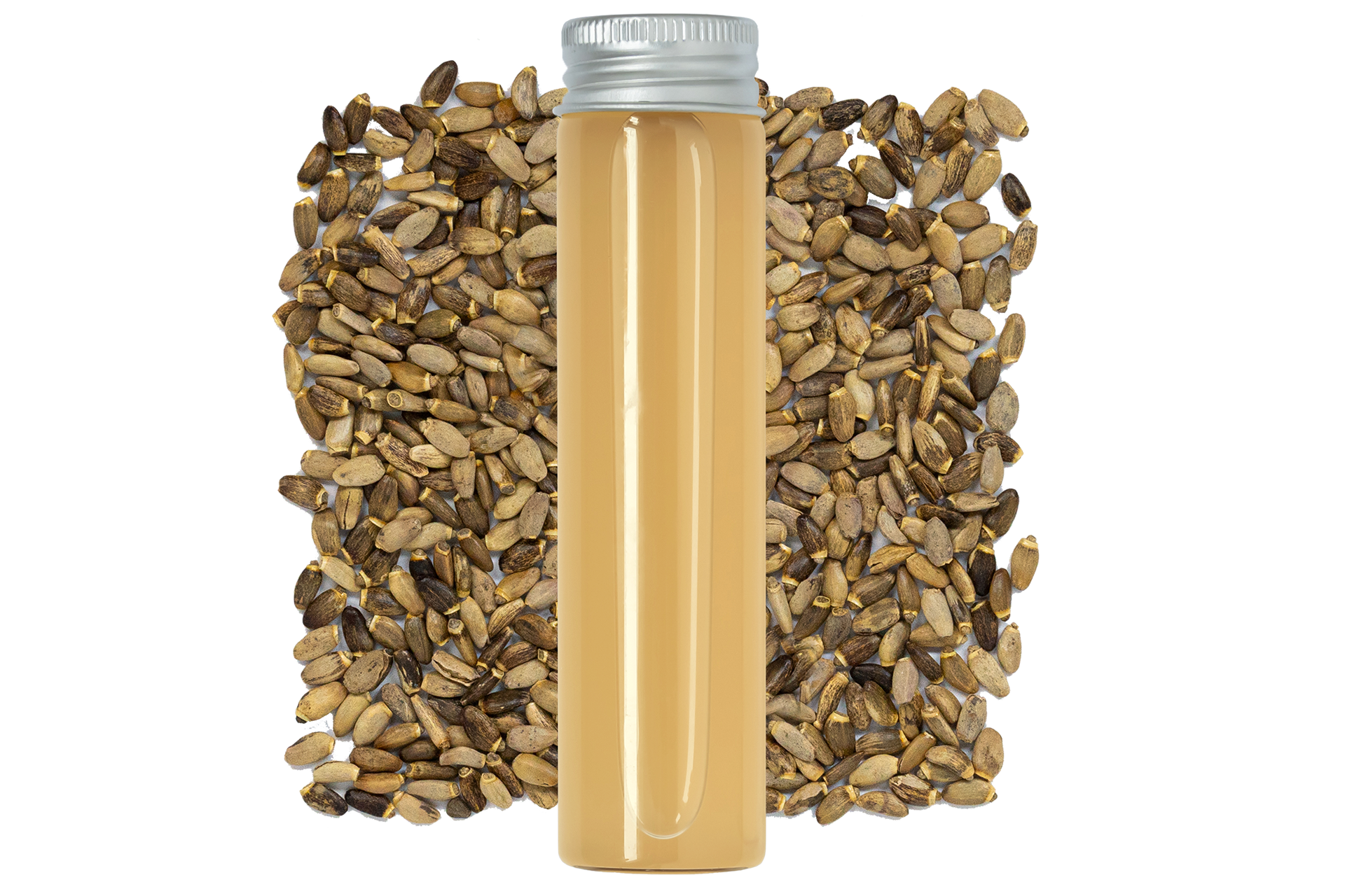 Fermented Milk Thistle — product visual