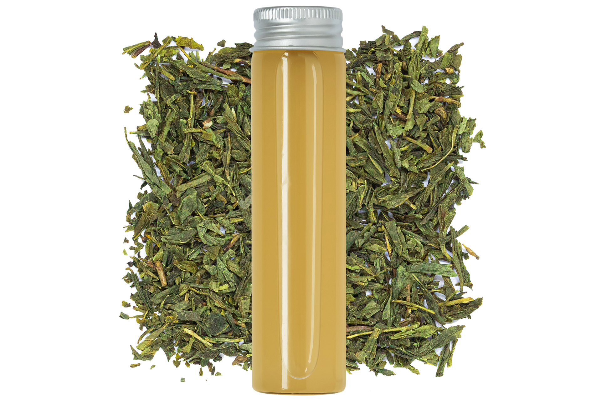Green Tea Kombucha Base — product visual