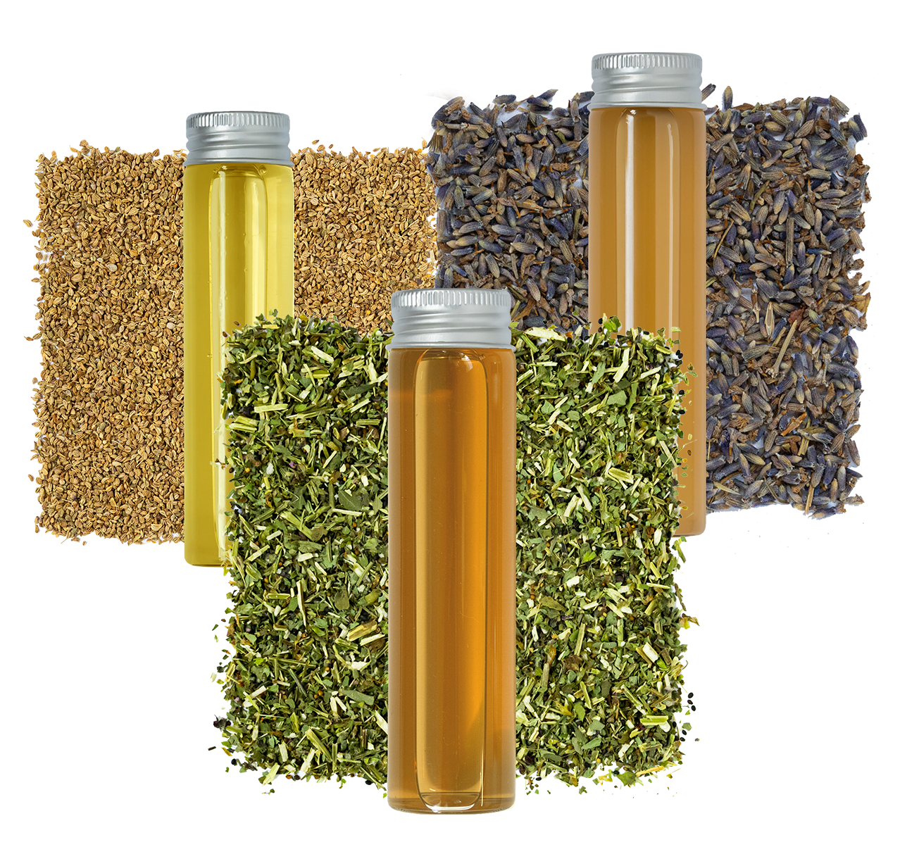 Fermented botanical ingredients and liquid extracts