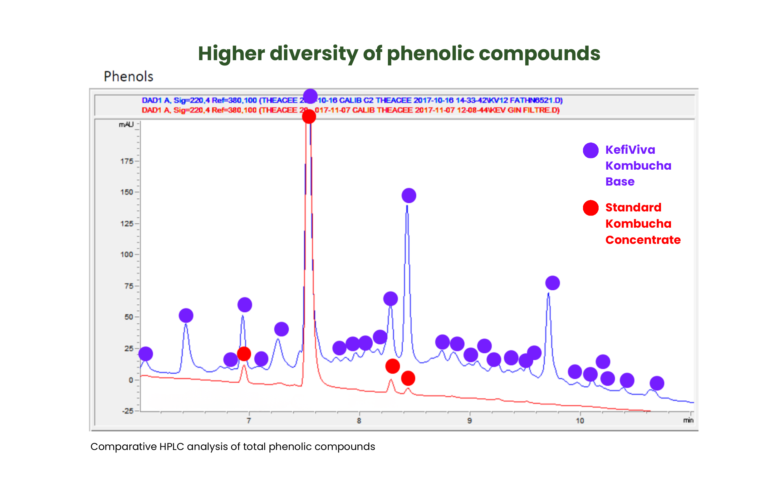 Comparative HPLC analysis of total phenolic compounds: Kefiviva Kombucha Base versus standard kombucha concentrate