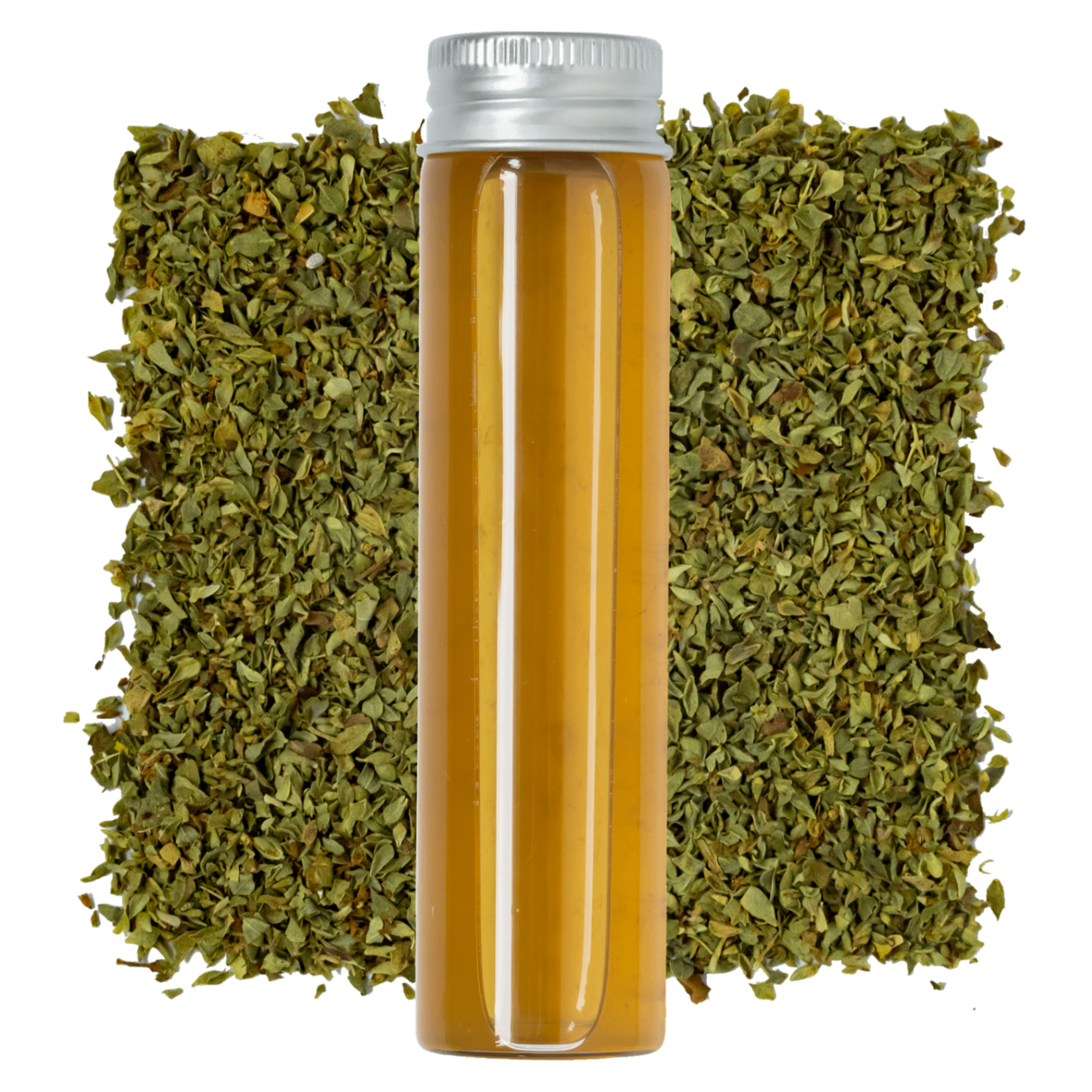 Fermented Oregano