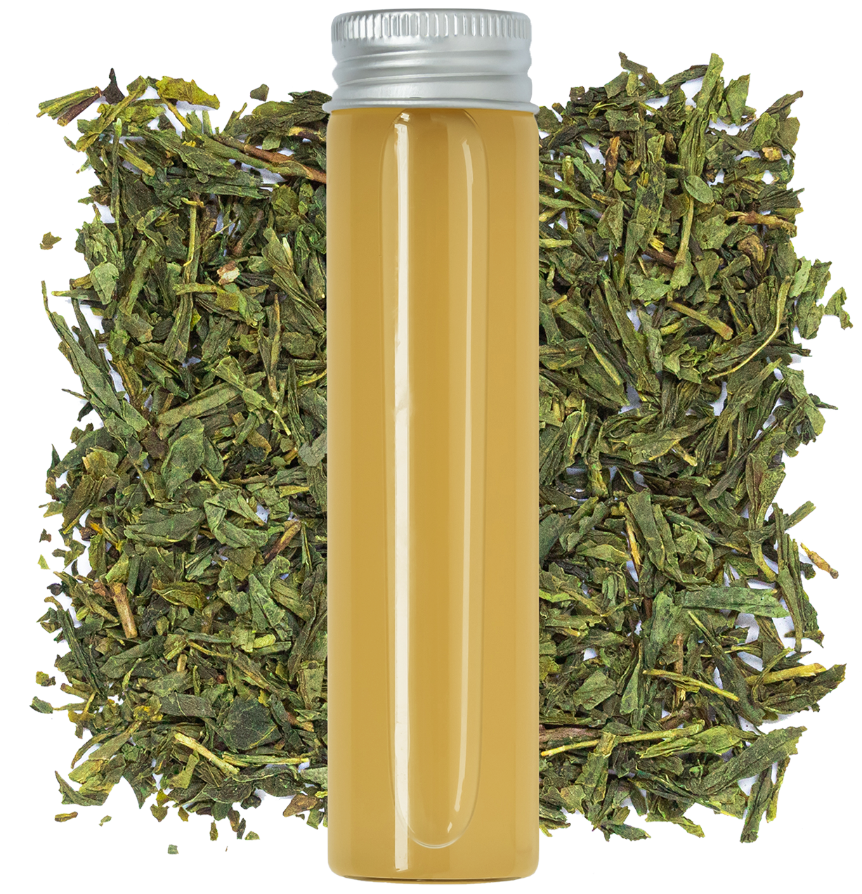 KEFIVIVA™ Green Tea Kombucha Base