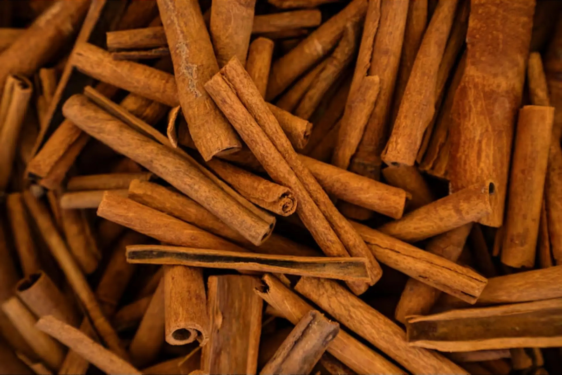 Plant used for Fermented Cinnamon