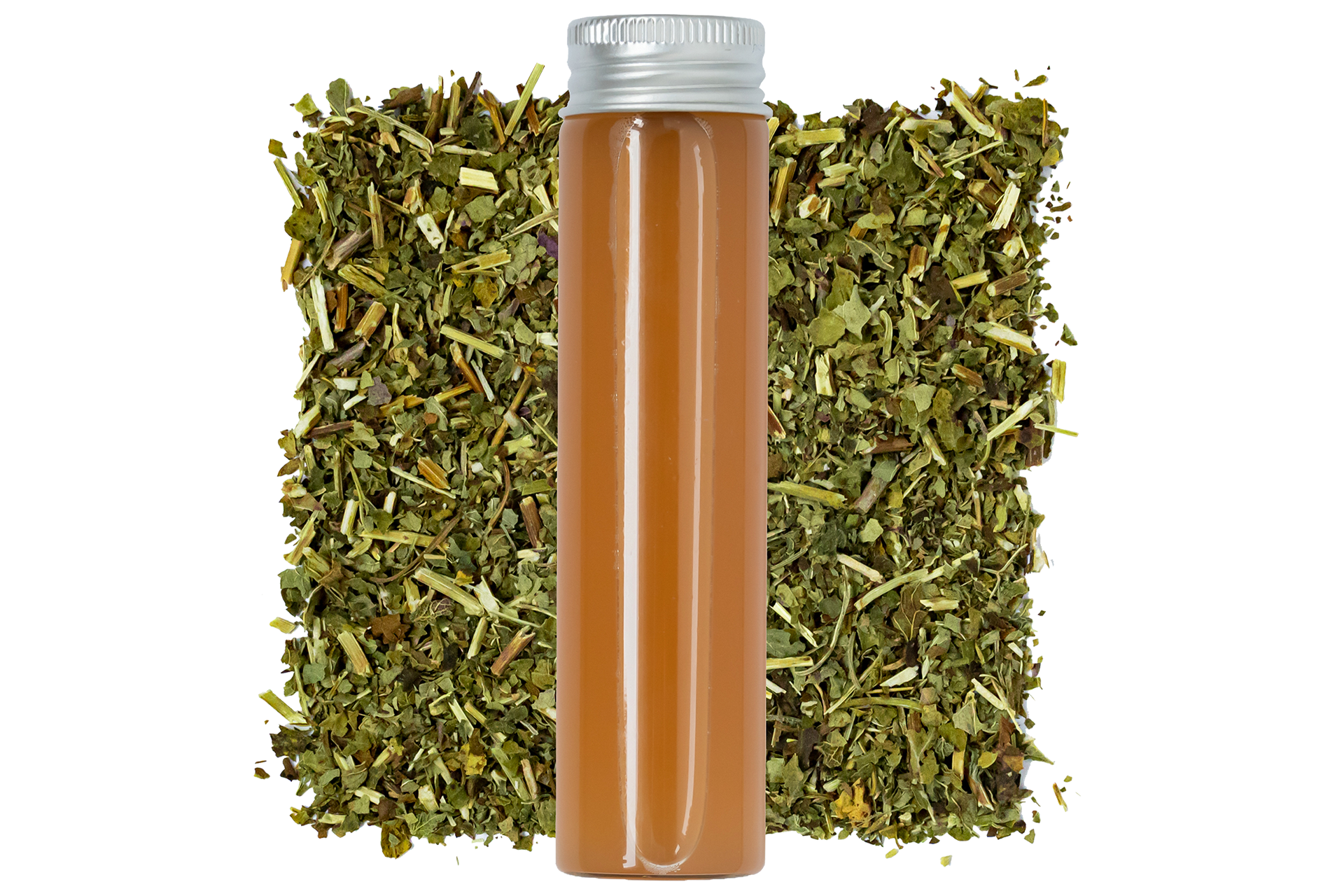 Fermented Lemon Balm