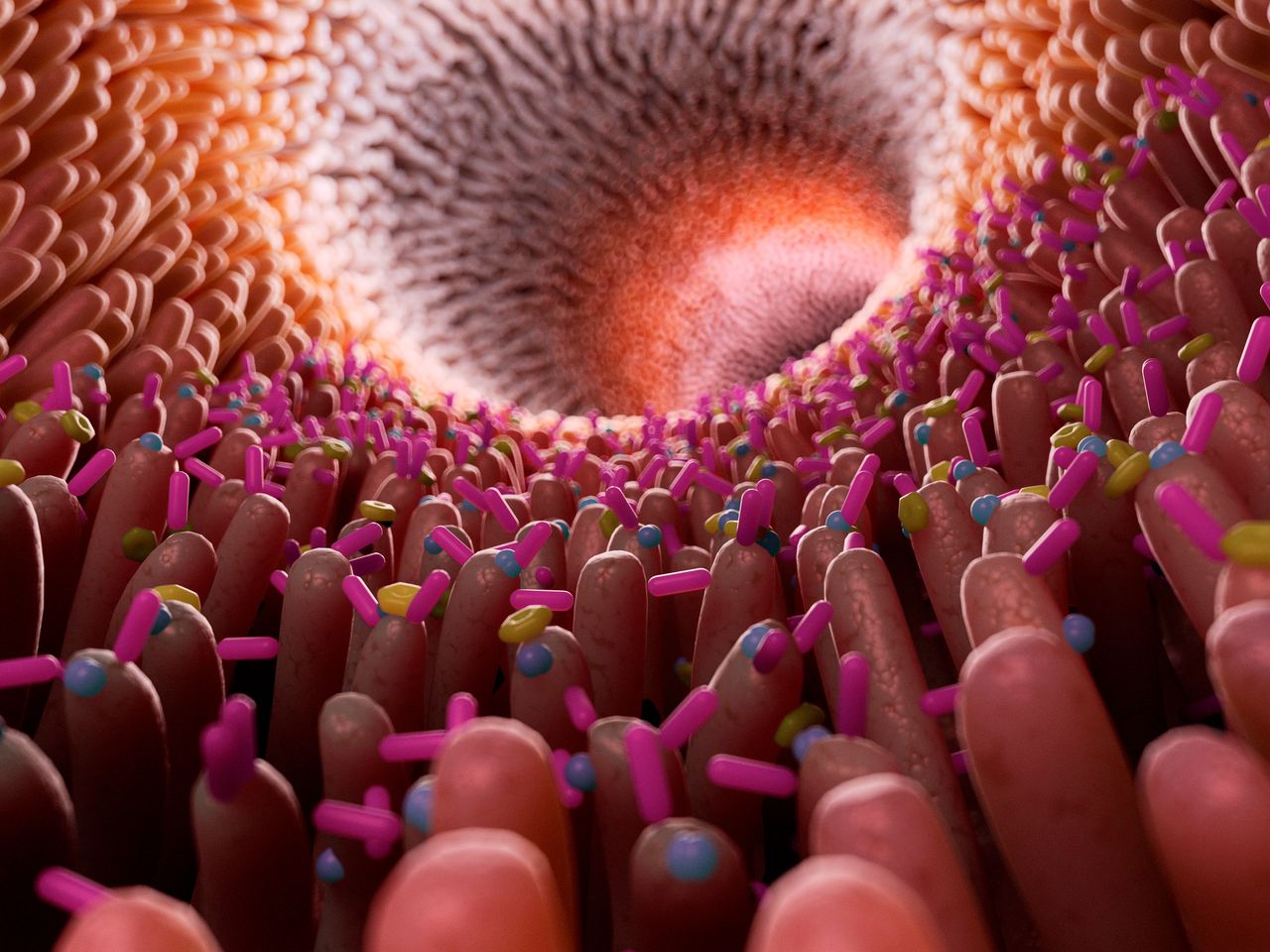 Microbiome
